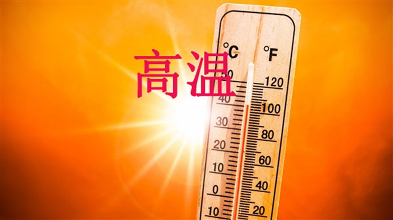 高溫天，使用農(nóng)藥注意事項(圖1)