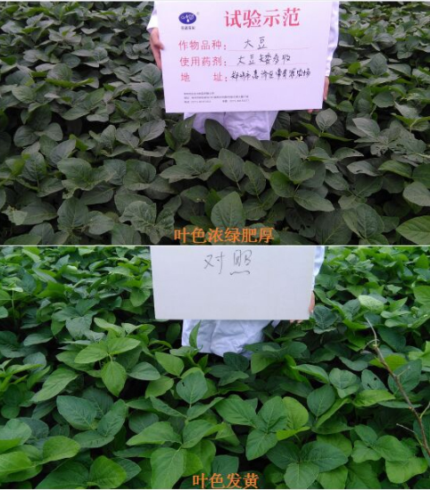 換個思路賣農(nóng)資，效果也不差！(圖1)