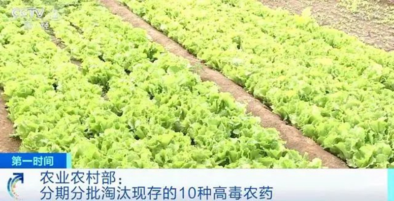 農(nóng)業(yè)農(nóng)村部:3年內(nèi)淘汰這10種高毒農(nóng)藥, 重點治理豇豆、韭菜、芹菜農(nóng)殘超標(圖1) 農(nóng)業(yè)農(nóng)村部:3年內(nèi)淘汰這10種高毒農(nóng)藥, 重點治理豇豆、韭菜、芹菜農(nóng)殘超標(圖1)