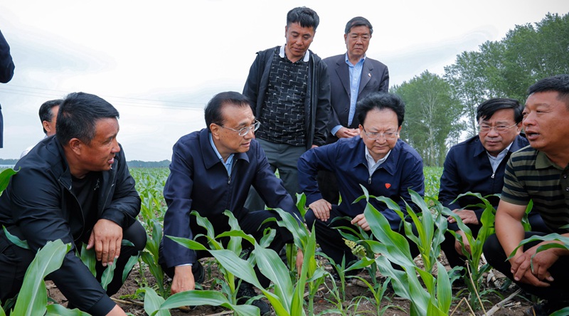 重磅！農(nóng)資上漲不要怕，補貼來了！(圖1)