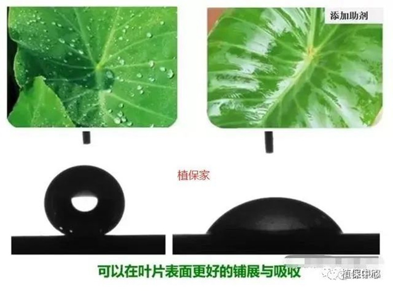 農(nóng)藥成分和含量一模一樣，為啥效果差別那么大？(圖2)